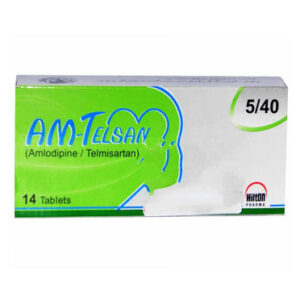 AM-Telsan 5mg/40mg tablet 2x7's