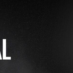 Wabees Long Beard Essentials